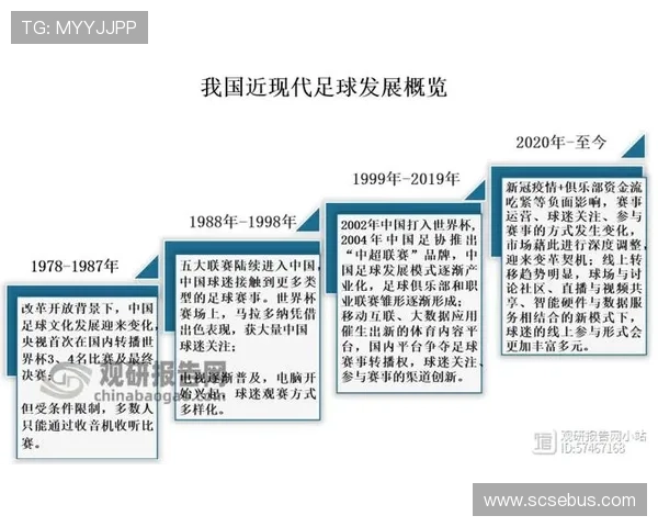 德国足球甲级联赛的历史变迁与未来发展趋势分析