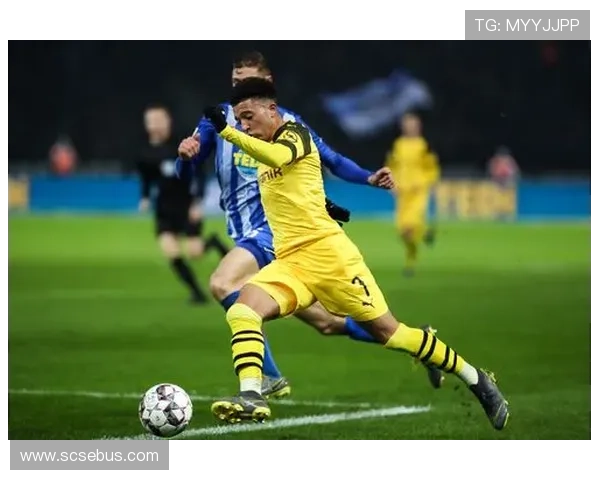 德甲新赛季焦点：拜仁慕尼黑锋线升级，多特蒙德迎来挑战，柏林赫塔重整旗鼓