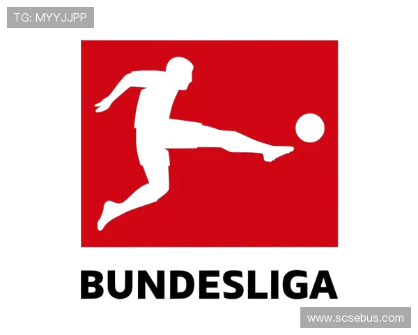 深入解析德甲联赛比赛规则体系及其对球队竞技水平的全面影响 深入解析德甲联赛比赛规则体系及其对球队竞技水平的全面影响