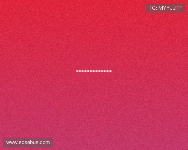 罗马队今日最新动态:球队阵容调整与赛季目标分析 罗马队今日最新动态:球队阵容调整与赛季目标分析