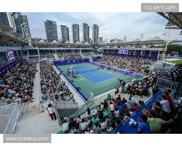 2025年网球赛季：新星崛起与老将回归，ATP和WTA巡回赛精彩纷呈